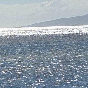 Meet your Posher, Loralee